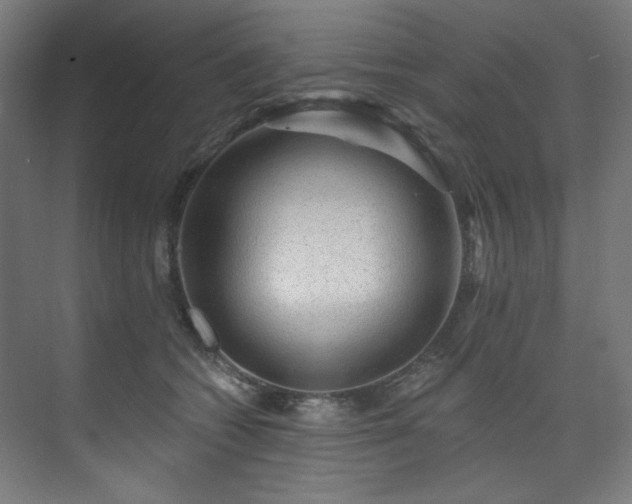 X0000074220562200608251132