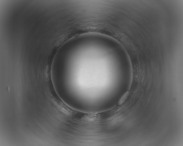 X0000074220563200608251132