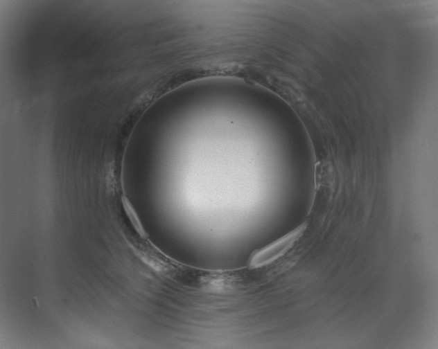 X0000074220564200608251132
