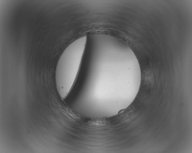 X0000074220567200608251132