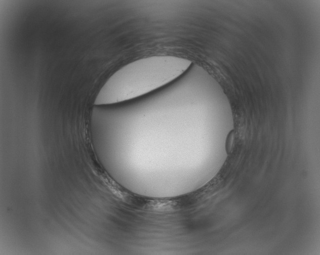 X0000074220569200608251132