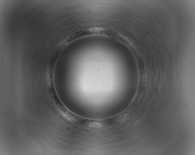X0000074220572200608251132