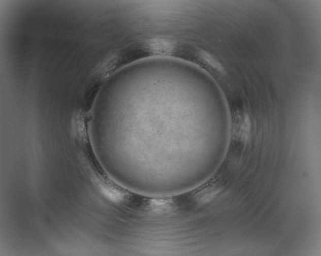 X0000074220573200608251132