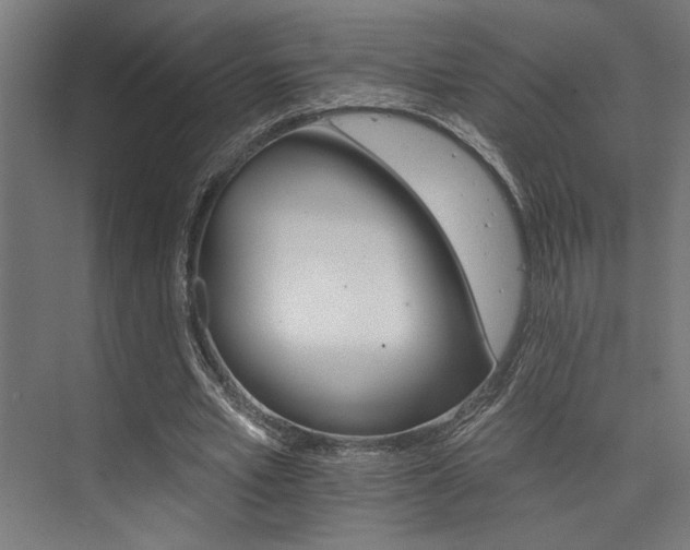 X0000074220581200608251131