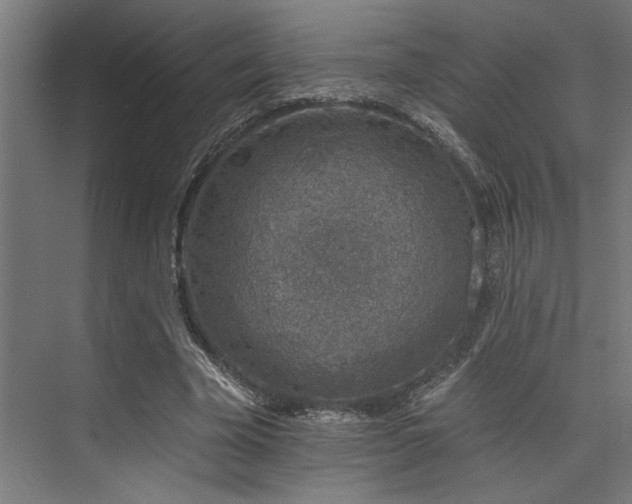 X0000074220585200608251131
