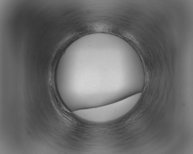 X0000074220587200608251131