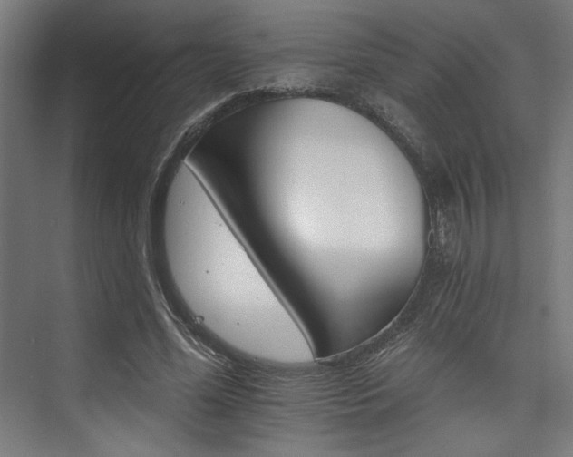 X0000074220588200608251131
