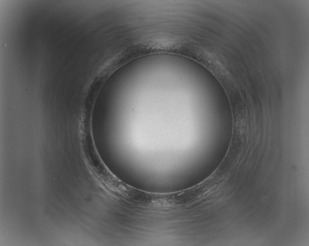 X0000074220591200608251131