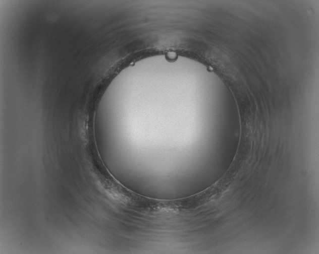 X0000074220592200608251131