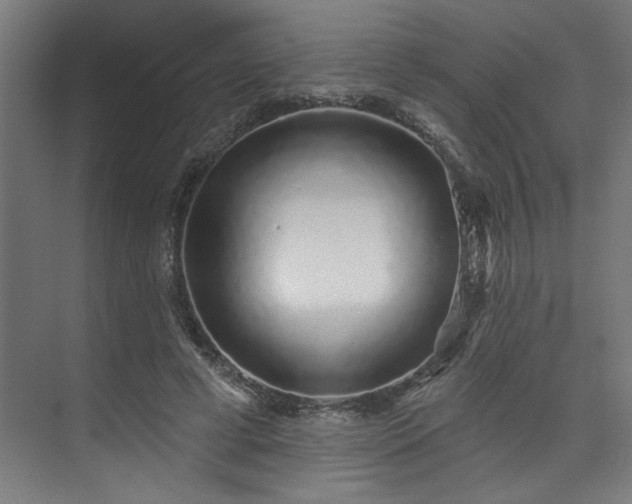 X0000074220593200608251131