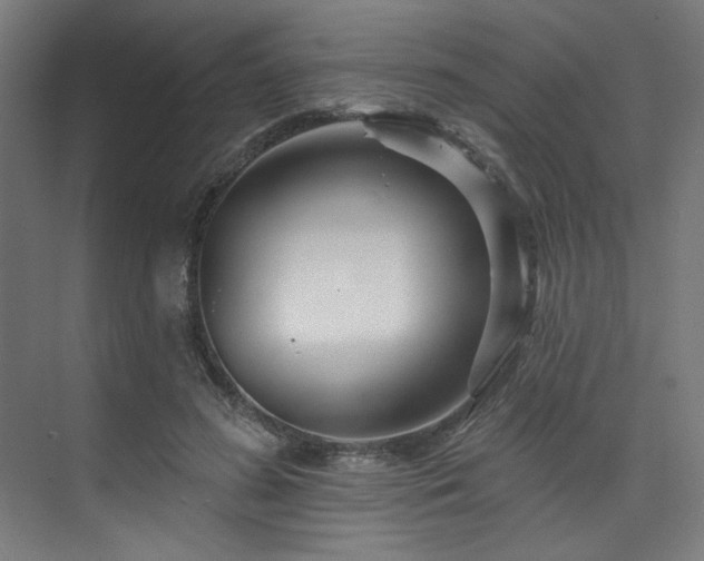 X0000074220596200608251131