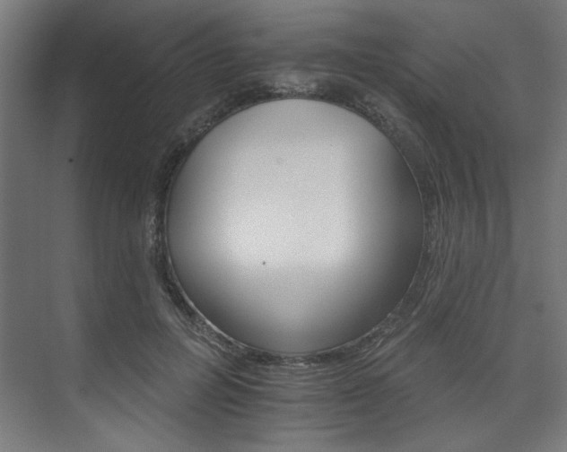 X0000074220600200608251131