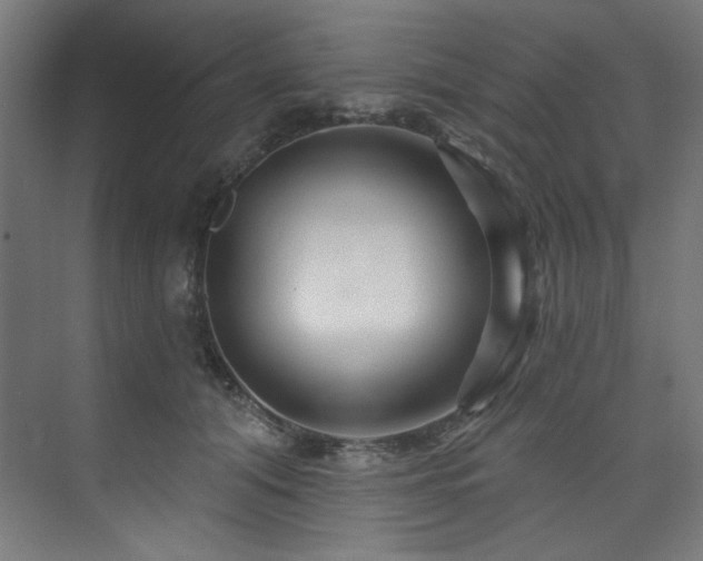 X0000074220608200608251131