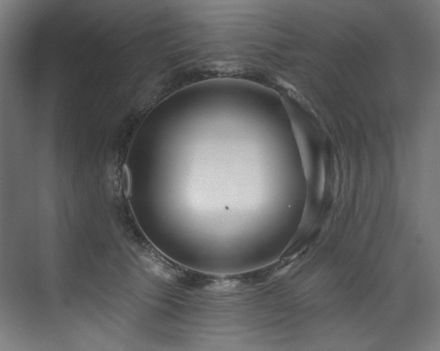 X0000074220609200608251131