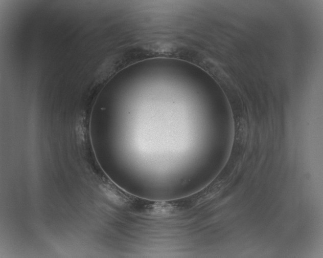 X0000074220612200608251131