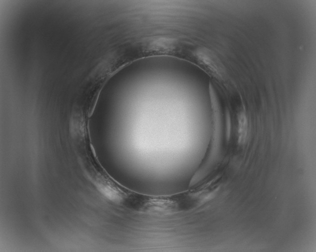 X0000074220617200608251130