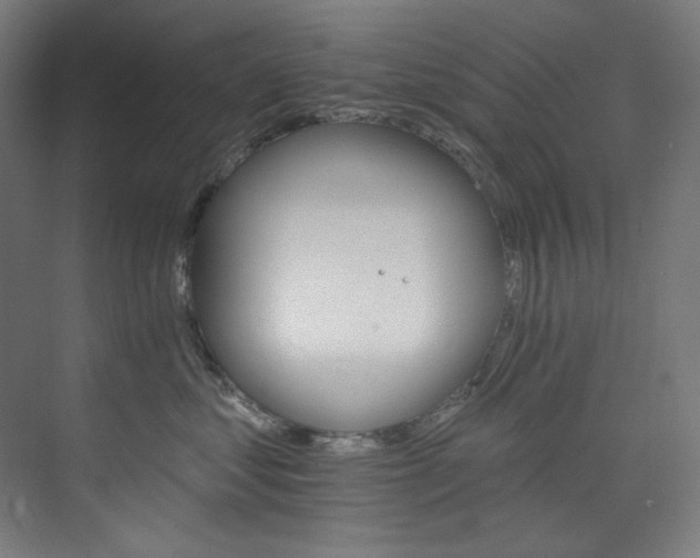 X0000074220621200608251130