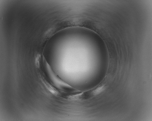 X0000074220624200608251130