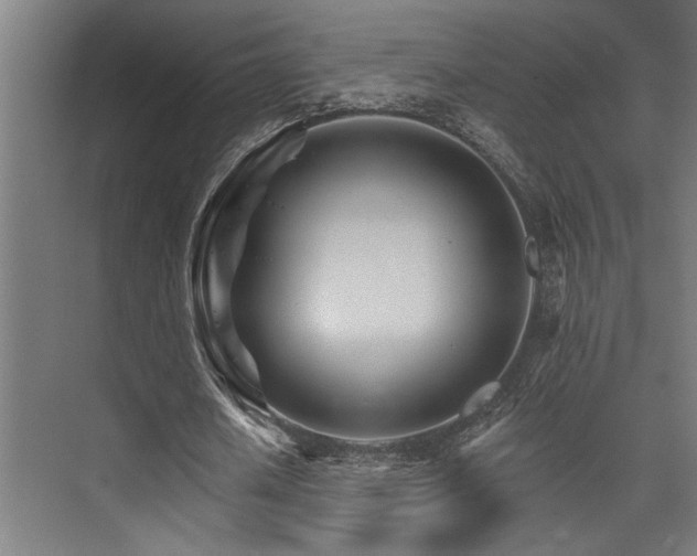 X0000074220626200608251130