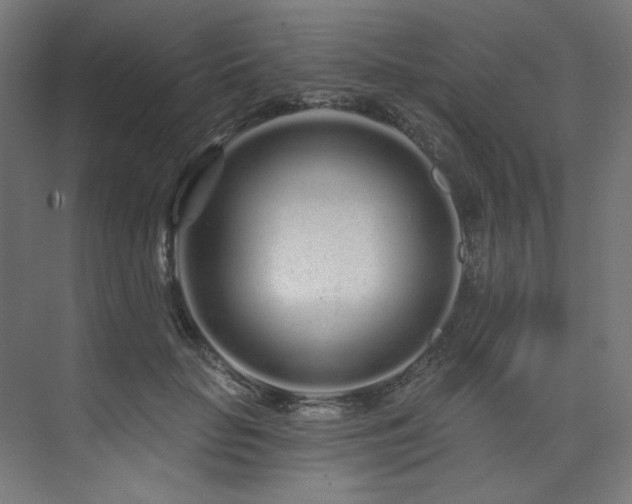 X0000074220653200608251130