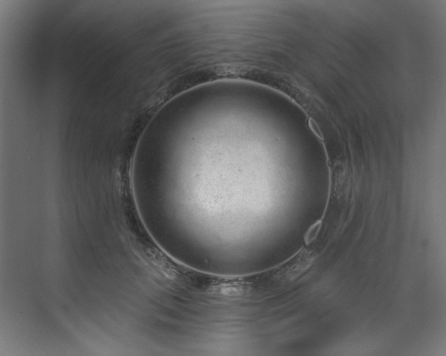 X0000074220655200608251130