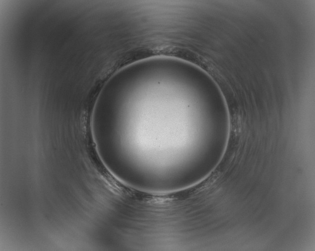 X0000074220664200608251130