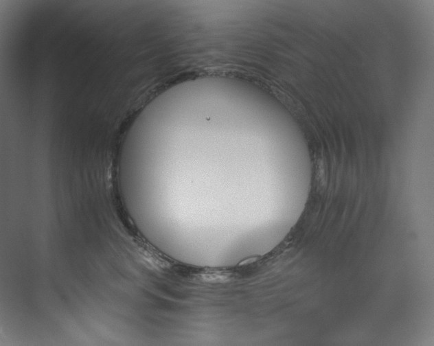 X0000074220668200608251130