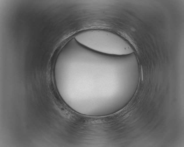 X0000074220675200608251129