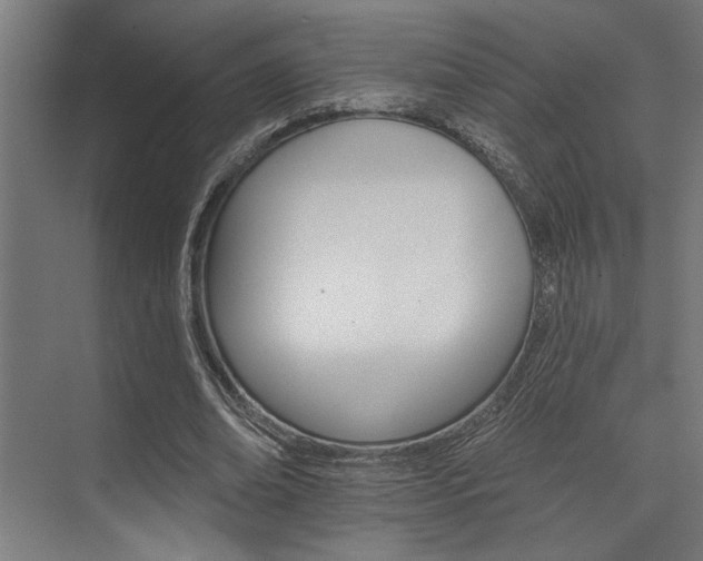 X0000074220678200608251129