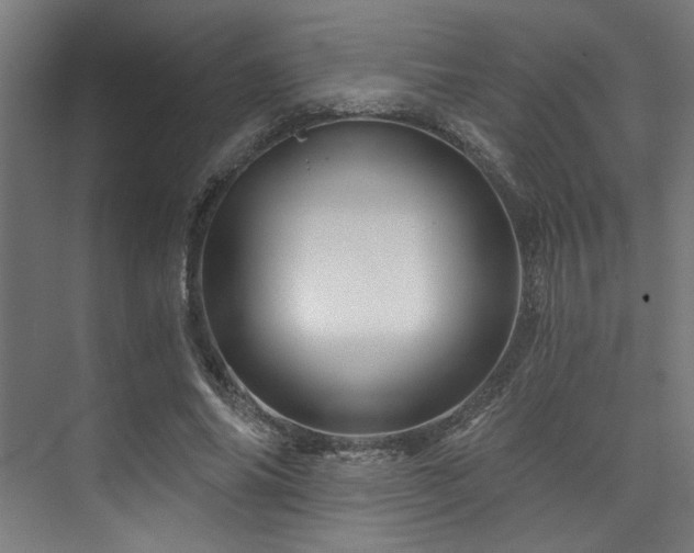 X0000074220686200608251129