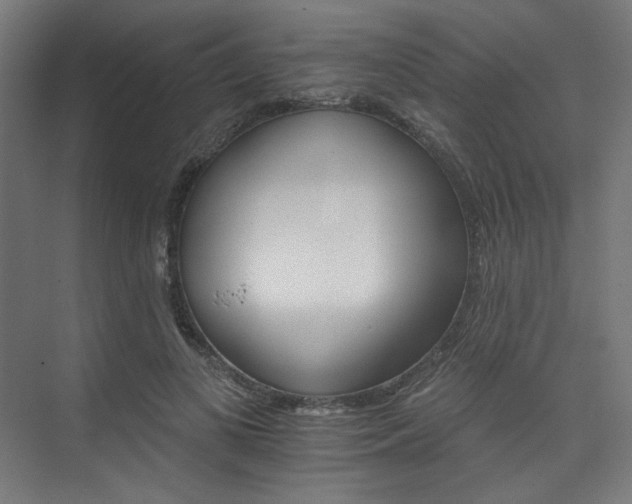 X0000074220693200608251129