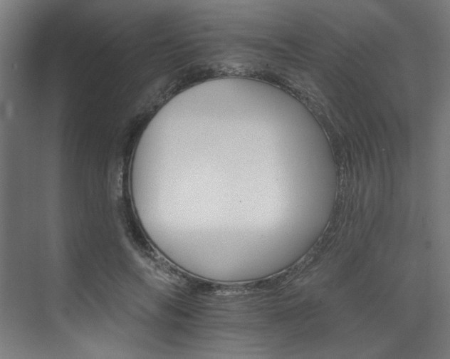 X0000074220694200608251129