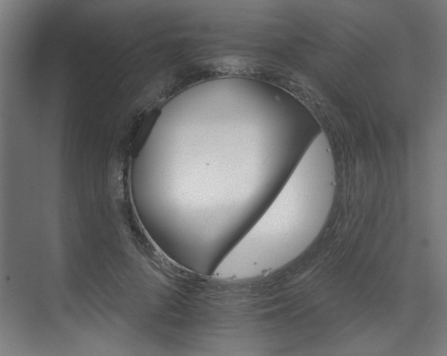 X0000074220696200608251129