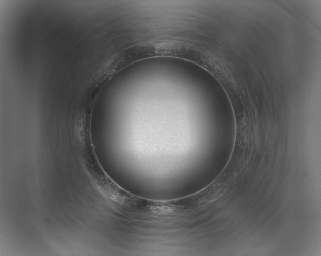 X0000074220698200608251129