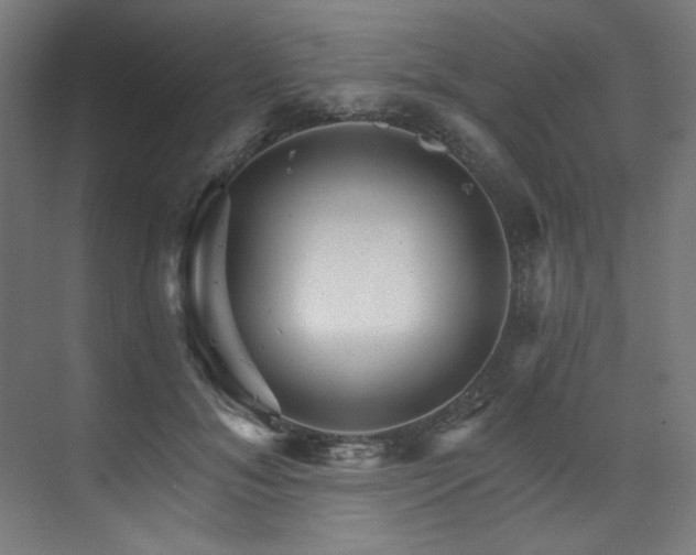 X0000074220700200608251129