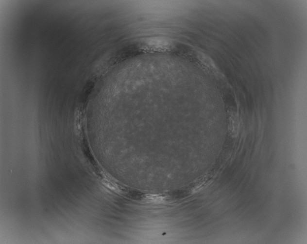 X0000074220701200608251129