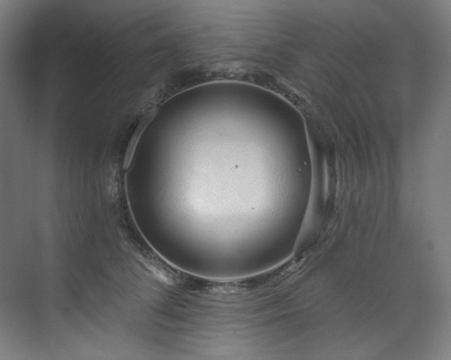 X0000074220708200608251129