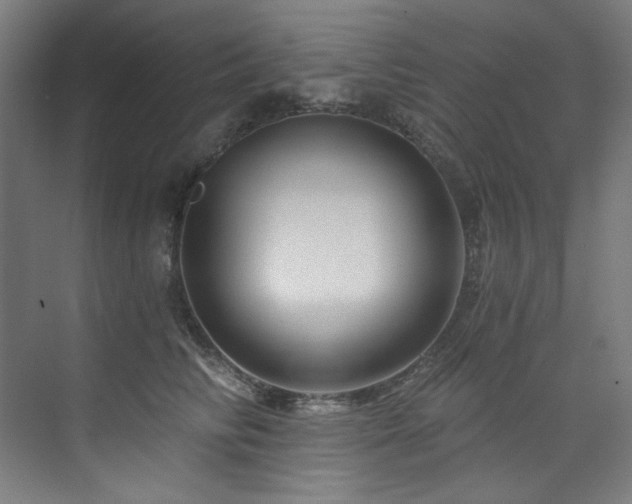 X0000074220710200608251129