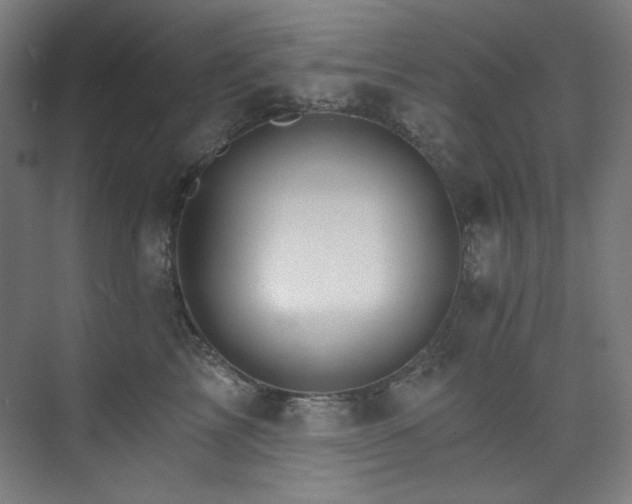 X0000074220713200608251129