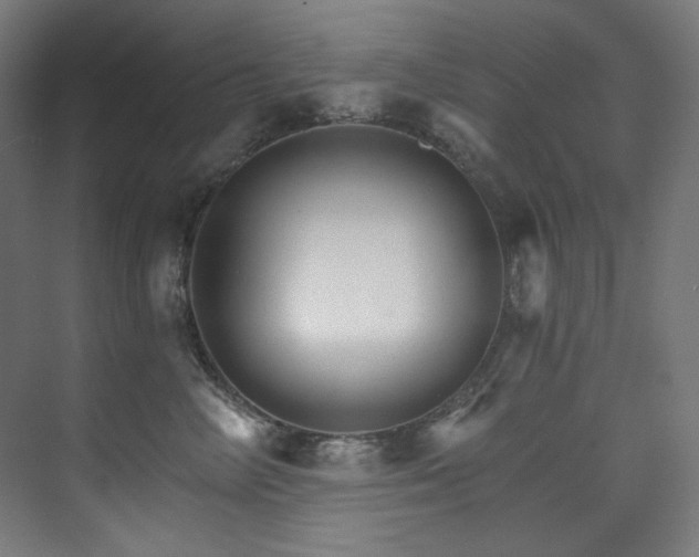 X0000074220714200608251129