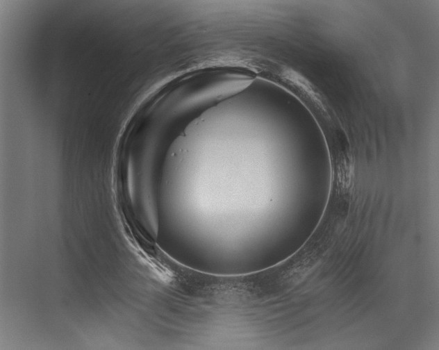 X0000074220724200608251128