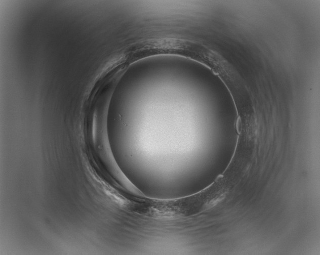 X0000074220731200608251128