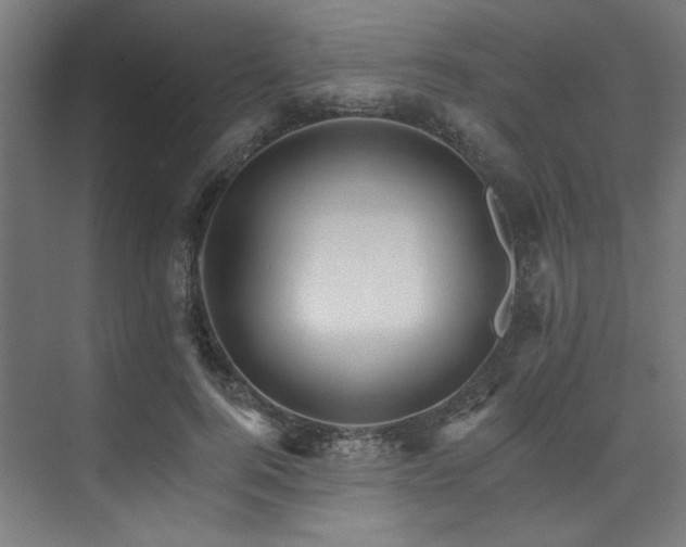 X0000074220744200608251128