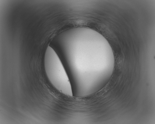 X0000074220746200608251128