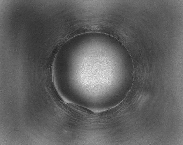 X0000074220747200608251128