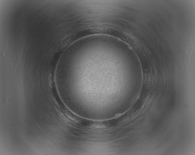 X0000074220749200608251128