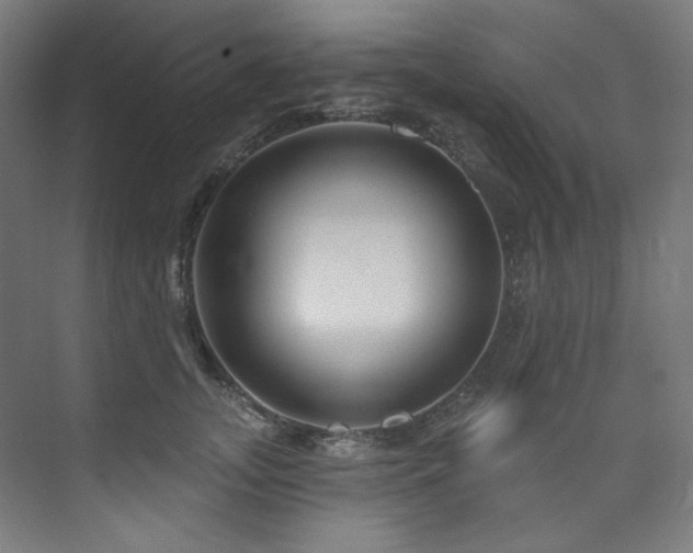 X0000074220755200608251128