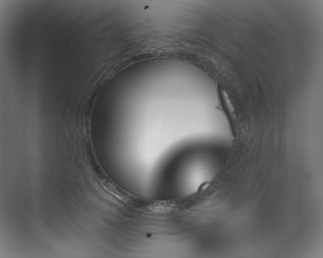 X0000074220756200608251128