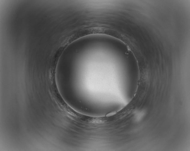 X0000074220759200608251129