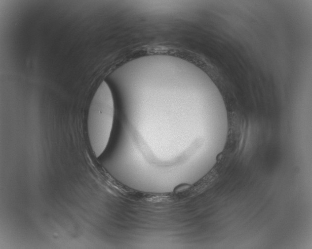 X0000074220761200608251129